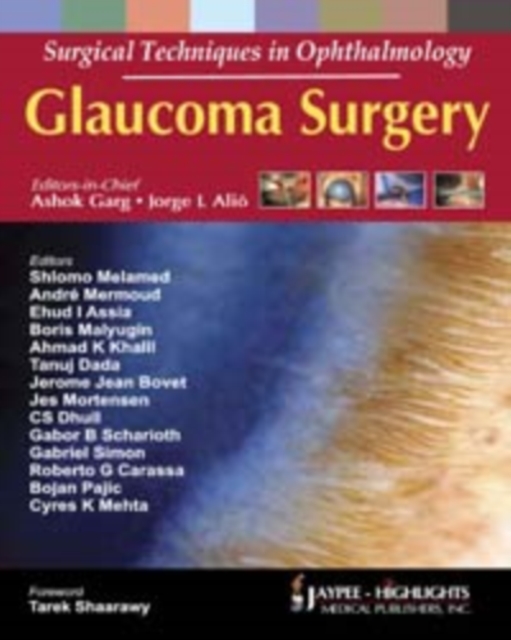 Surgical Techniques in Ophthalmology: Glaucoma Surgery, Hardback Book