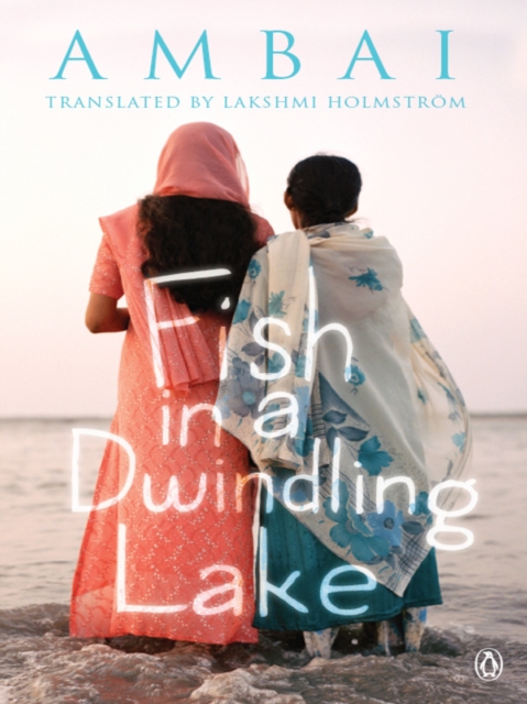 Fish in a Dwindling Lake, EPUB eBook