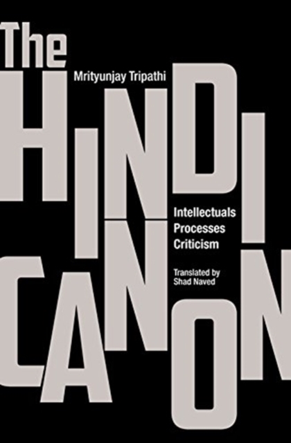 The Hindi Canon – Intellectuals, Processes, Criticism, Hardback Book