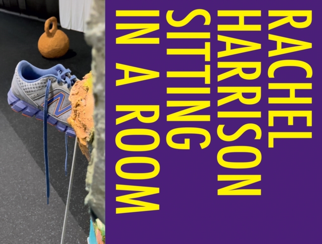 Rachel Harrison: Sitting in a Room, Hardback Book