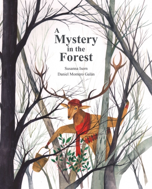 A Mystery in the Forest, Hardback Book