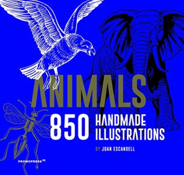 Animals: 850 Handmade Illustrations, Hardback Book