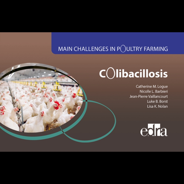 Colibacillosis - Main Challenges in Poultry Farming, Spiral bound Book