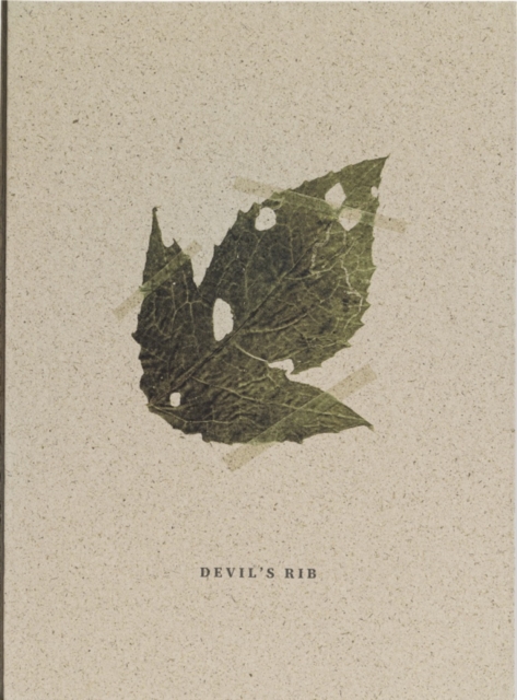 Mateusz Kowalik: Devil's Rib, Hardback Book