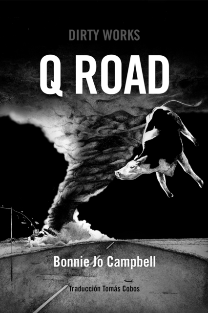 Q Road, EPUB eBook