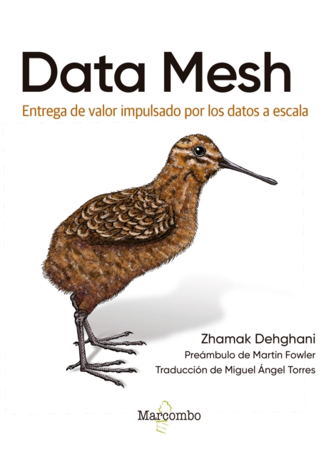 Data Mesh, EPUB eBook