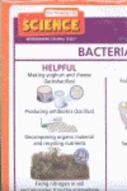Microorganisms: Too Small to See? Poster, Poster Book