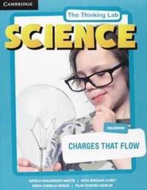 Charges That Flow Poster, Poster Book