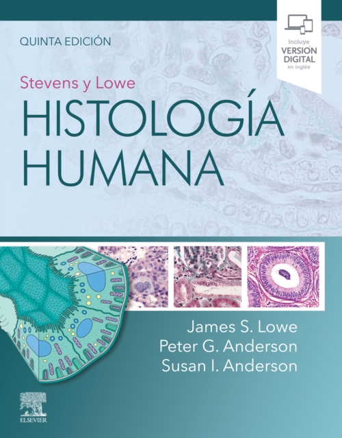 Stevens y Lowe. Histologia humana, EPUB eBook