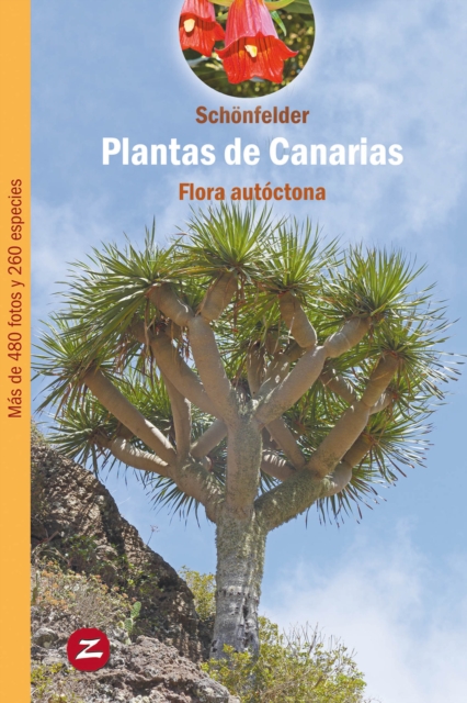 Plantas de Canarias : Flora autoctona, EPUB eBook