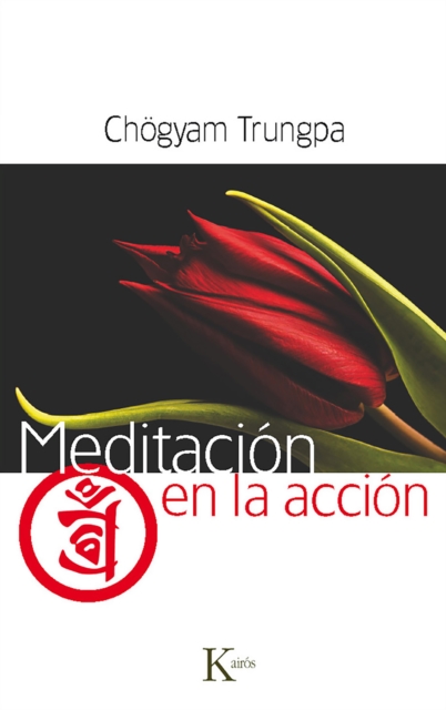 Meditacion en la accion, EPUB eBook