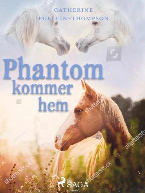 Phantom kommer hem, EPUB eBook