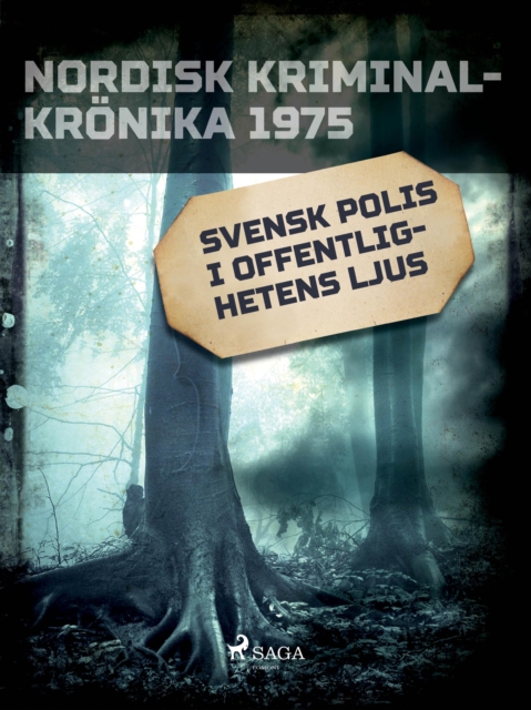 Svensk polis i offentlighetens ljus, EPUB eBook