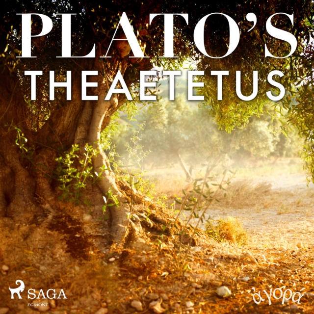 Plato's Theaetetus, eAudiobook MP3 eaudioBook