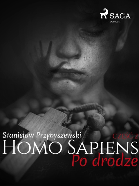 Homo Sapiens 2: Po drodze, EPUB eBook