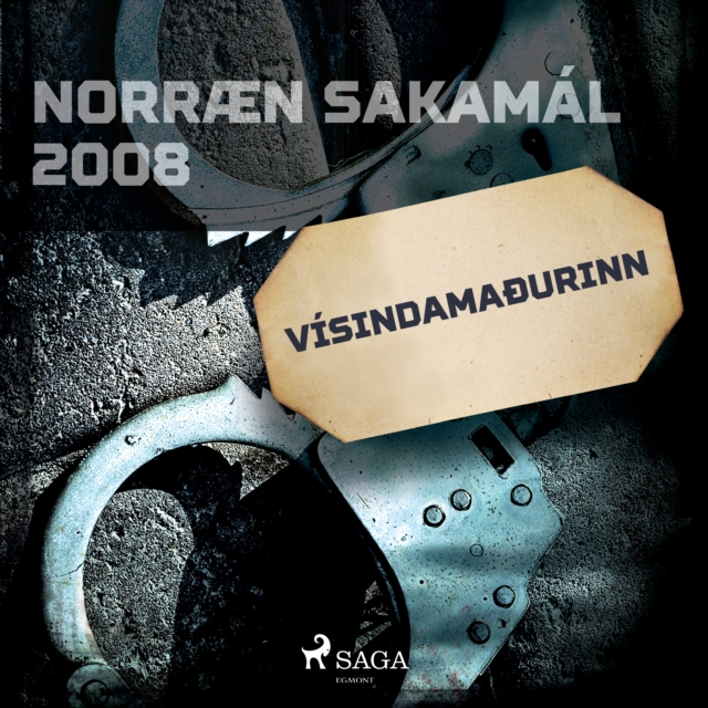 Visindamaðurinn : Norraen Sakamal 2008, eAudiobook MP3 eaudioBook
