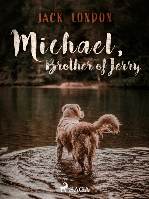 Michael, Brother of Jerry, EPUB eBook