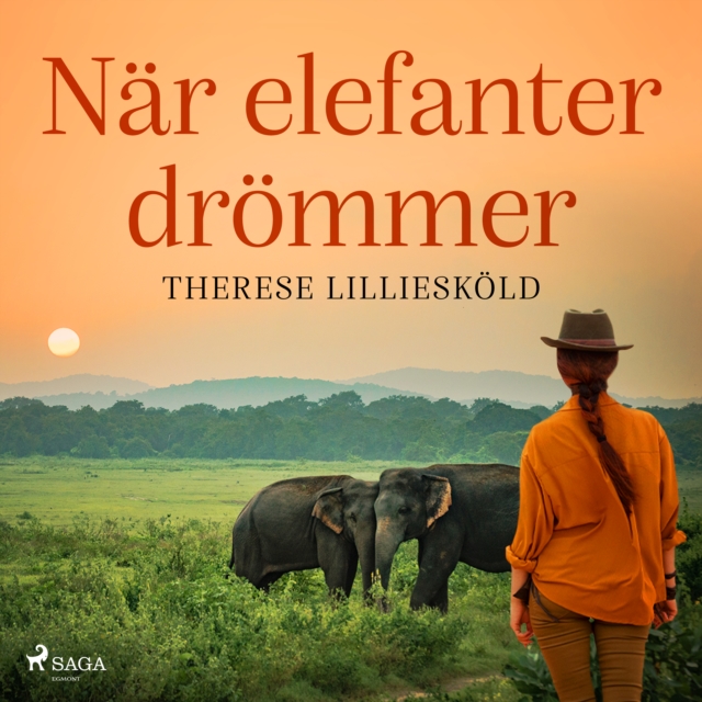Nar elefanter drommer, eAudiobook MP3 eaudioBook