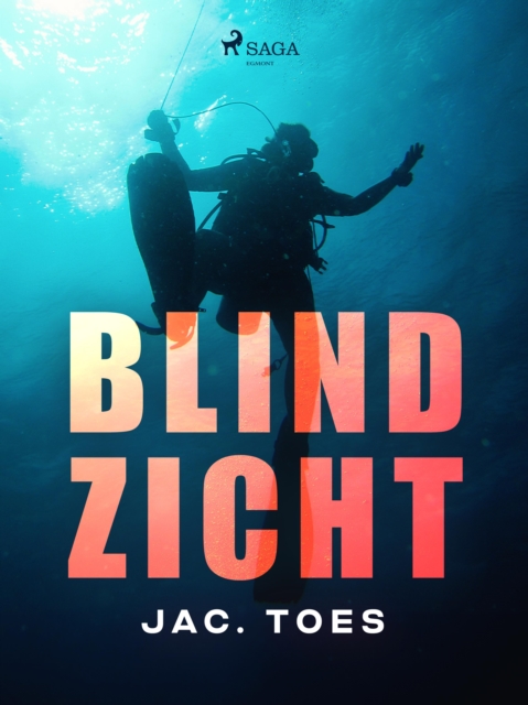 Blind zicht, EPUB eBook