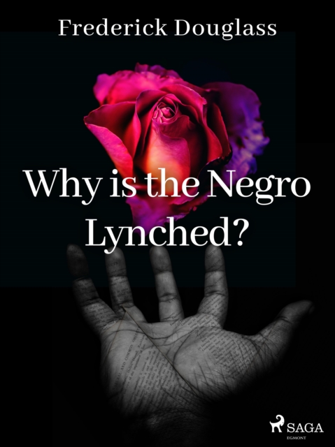 Why is the Negro Lynched?, EPUB eBook