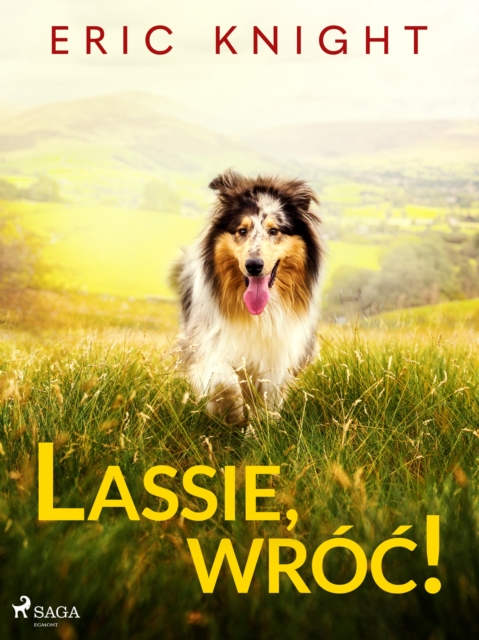Lassie, wroc!, EPUB eBook