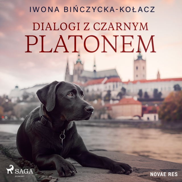 Dialogi z czarnym Platonem, eAudiobook MP3 eaudioBook