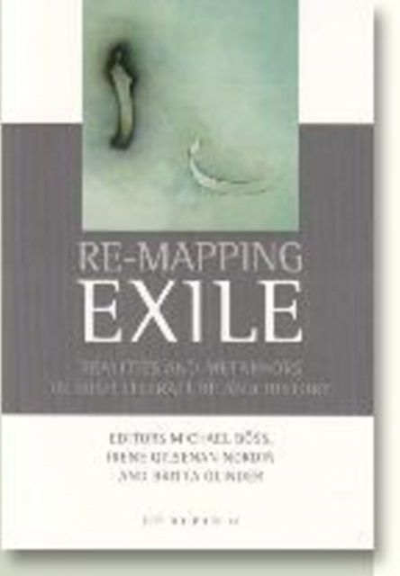 Re-Mapping Exile : Realities & Metaphors in Irish Literature & History, Paperback / softback Book