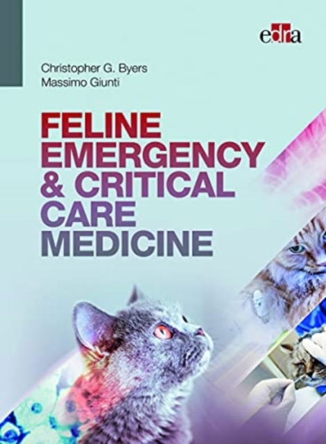 FELINE EMERGENCY & CRITICAL CARE MEDICINE, Hardback Book