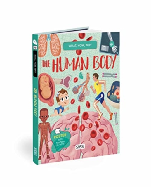 QUESTIONS ANSWERS HUMAN BODY, Hardback Book