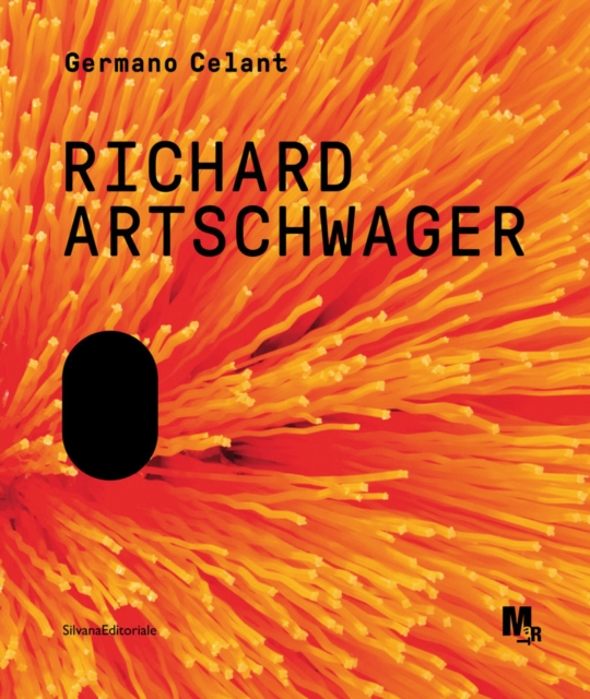 Richard Artschwager, Paperback / softback Book