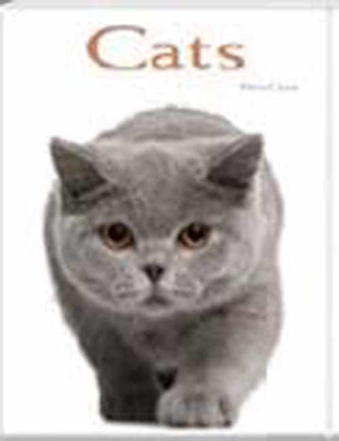 Cats : Pocket Book, Hardback Book