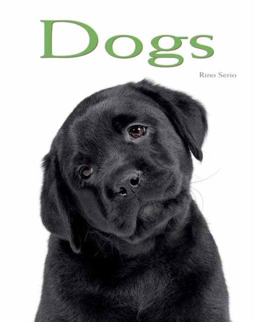 Dogs : Pocket Book, Hardback Book