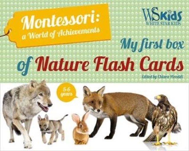 My First Flash Cards Box: Discovering Forest Animals - Montessori World of Achievements, Novelty book Book