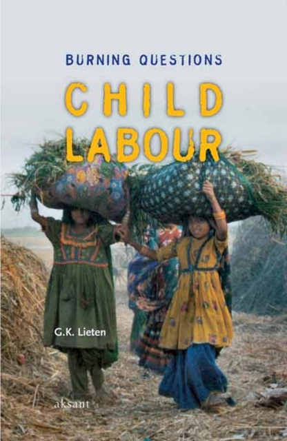 Child Labour : Burning questions, PDF eBook