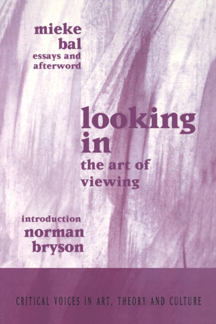 Looking In : The Art of Viewing, Paperback / softback Book