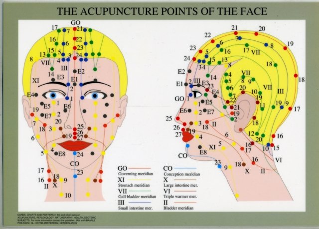 Acupuncture Points of the Face -- A4, Poster Book