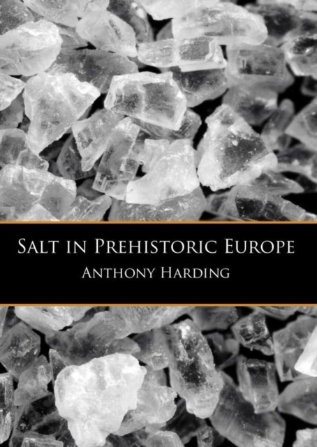 Salt in Prehistoric Europe, Paperback / softback Book