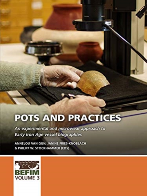 Pots and practices : An experimental and microwear approach to Early Iron Age vessel biographies, Paperback / softback Book