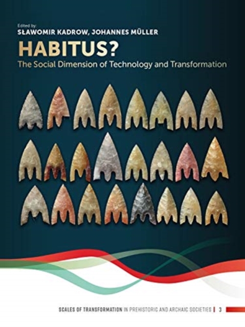 Habitus? : The Social Dimension of Technology and Transformation, Paperback / softback Book