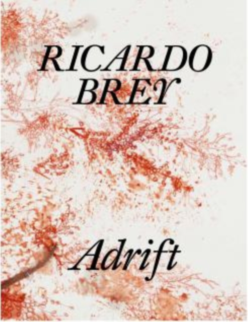 Ricardo Brey : Adrift, Hardback Book