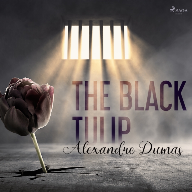 The Black Tulip, eAudiobook MP3 eaudioBook