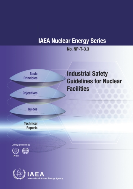Industrial Safety Guidelines for Nuclear Facilities, Paperback / softback Book