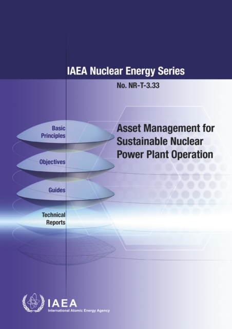 Asset Management for Sustainable Nuclear Power Plant Operation, EPUB eBook