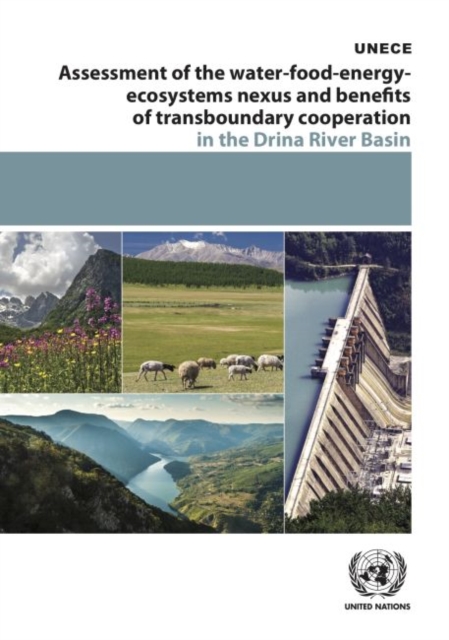 Assessment of the water-food-energy-ecosystems nexus and benefits of transboundary cooperation in the Drina River Basin, Paperback / softback Book