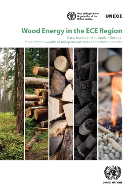 Wood energy in the ECE region : data, trends and outlook in Europe, the commonwealth of independent states and North America, Paperback / softback Book