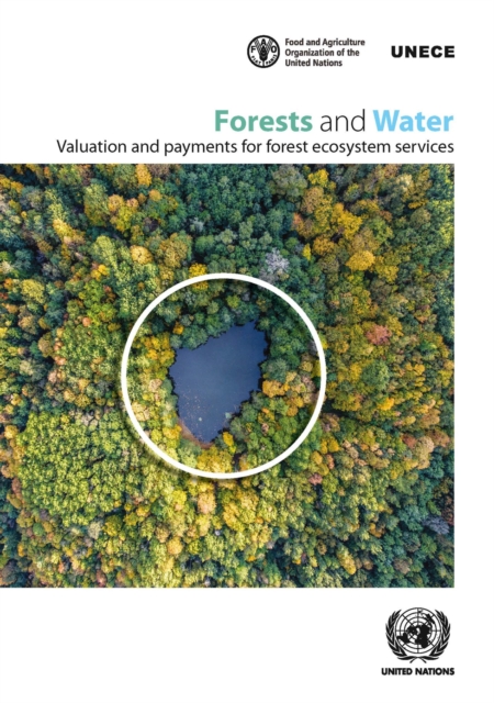Forests and water : valuation and payments for forest ecosystem services, Paperback / softback Book