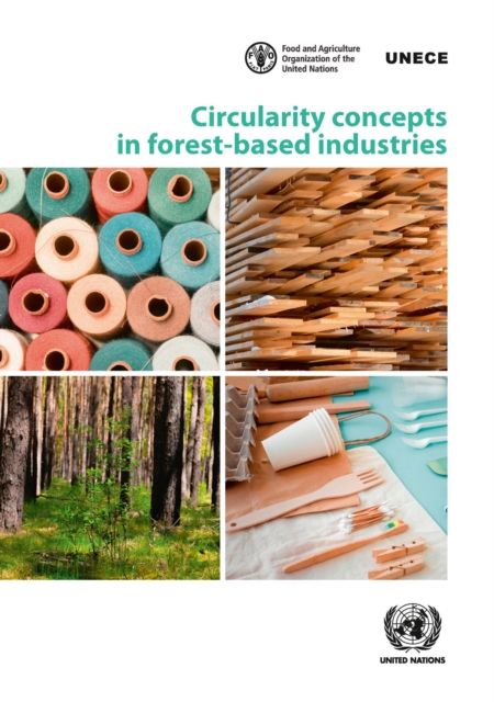 Circularity concepts in forest-based industries, Paperback / softback Book