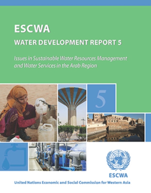 Issues in Sustainable Water Resources Management and Water Services in the Arab Region, Paperback / softback Book