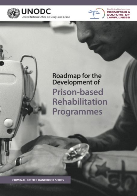 Roadmap for the development of prison-based rehabilitation programmes, Paperback / softback Book