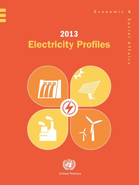 2013 electricity profiles, Paperback / softback Book